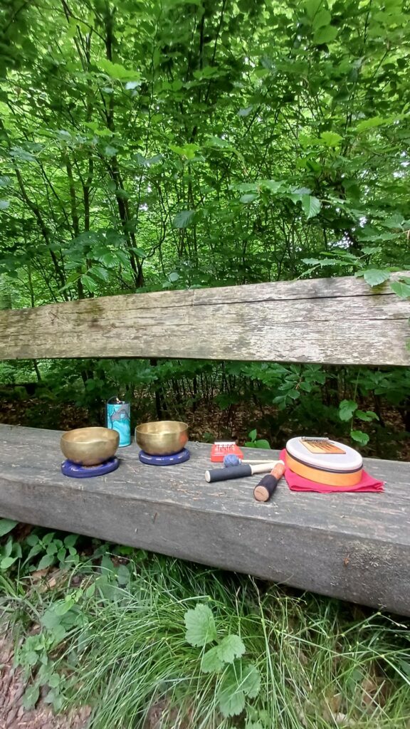 Votre bulle de bien-être en Forêt de Soignes